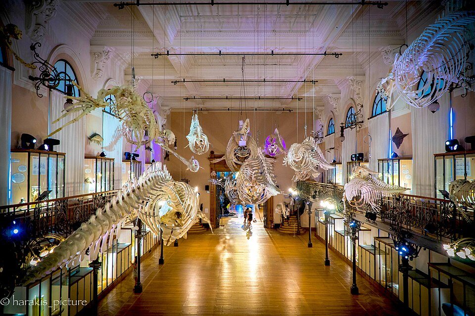 Musée océanographique de Monaco 03