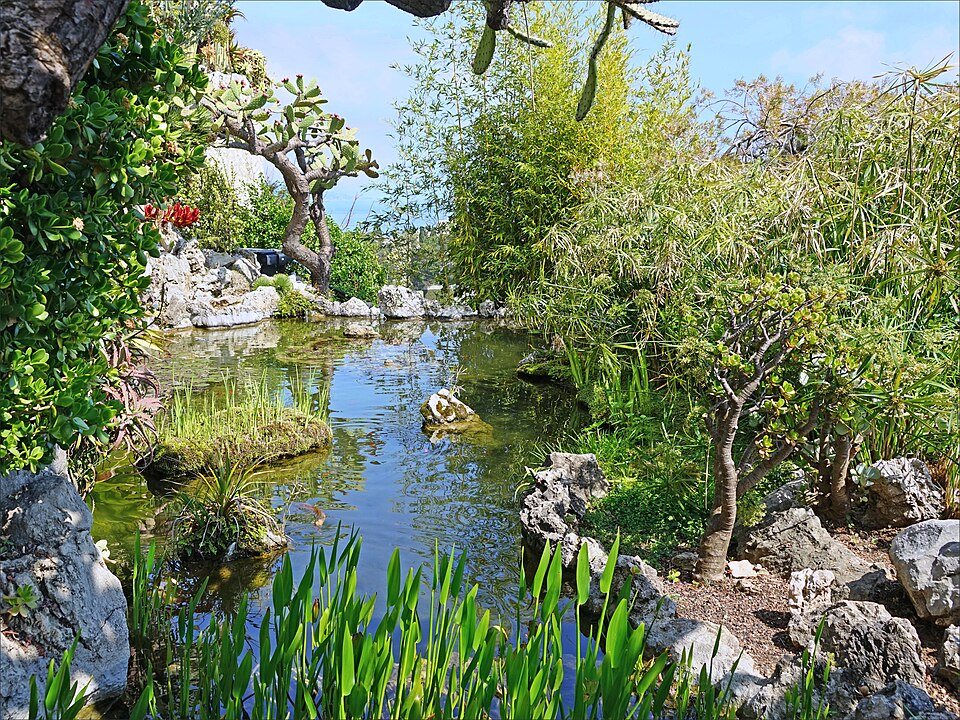 Jardin Exotique