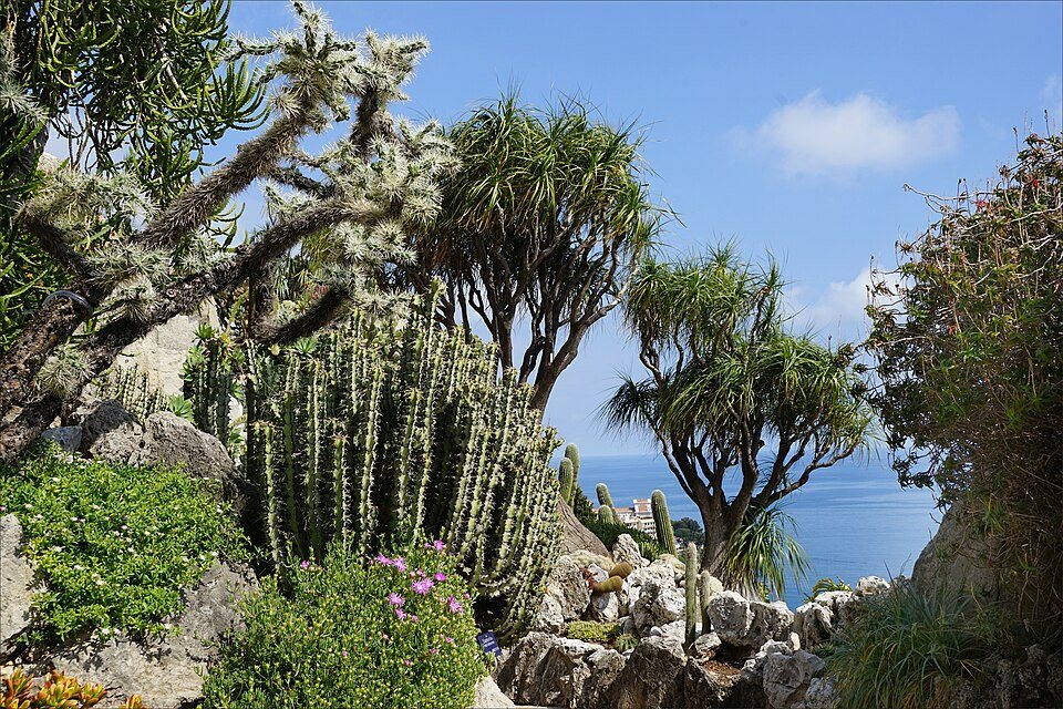 Jardin Exotique