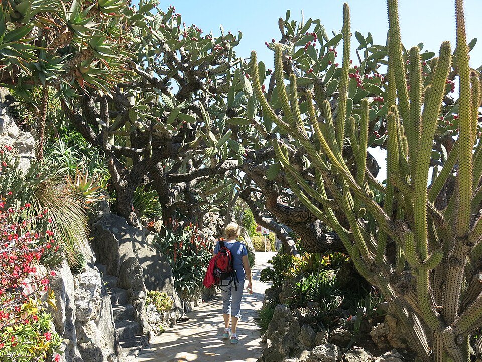 Jardin Exotique